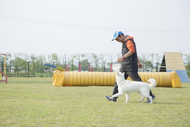 グッドパートナーのこだわり　代表より