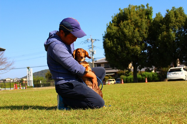 犬の訓練　訓練の流れ　訓練スタート